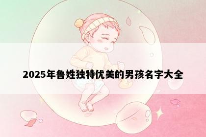 2025年鲁姓独特优美的男孩名字大全