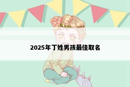 2025年丁姓男孩最佳取名