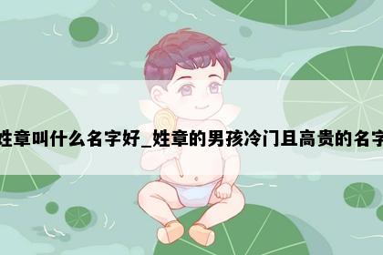 姓章叫什么名字好_姓章的男孩冷门且高贵的名字