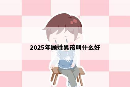 2025年顾姓男孩叫什么好