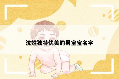 沈姓独特优美的男宝宝名字