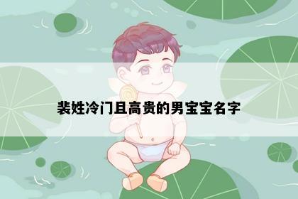 裴姓冷门且高贵的男宝宝名字