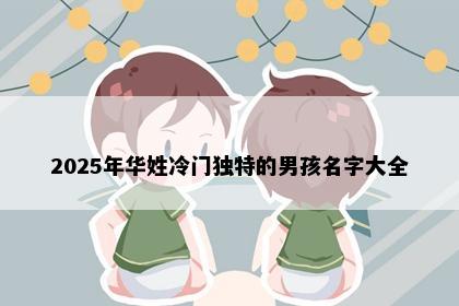 2025年华姓冷门独特的男孩名字大全