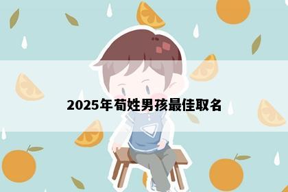 2025年荀姓男孩最佳取名