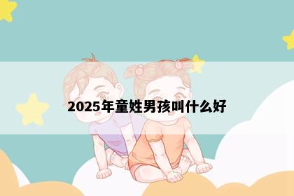 2025年童姓男孩叫什么好