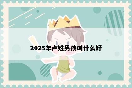 2025年卢姓男孩叫什么好