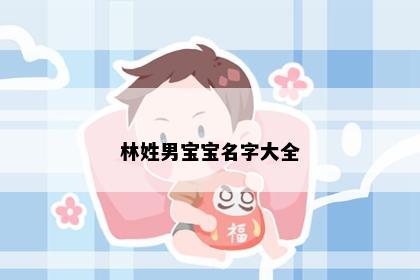林姓男宝宝名字大全