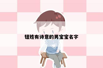 钮姓有诗意的男宝宝名字