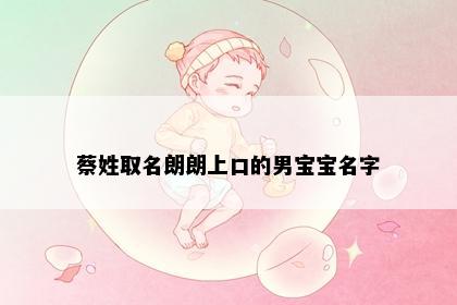 蔡姓取名朗朗上口的男宝宝名字