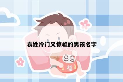 袁姓冷门又惊艳的男孩名字