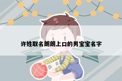 许姓取名朗朗上口的男宝宝名字