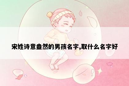 宋姓诗意盎然的男孩名字,取什么名字好