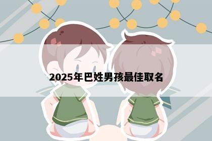 2025年巴姓男孩最佳取名