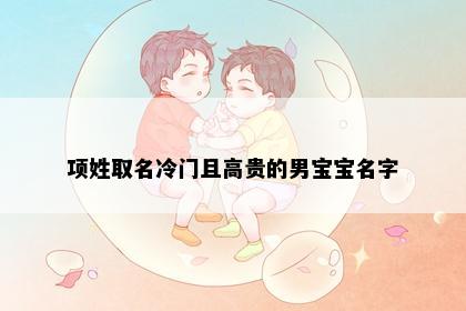 项姓取名冷门且高贵的男宝宝名字