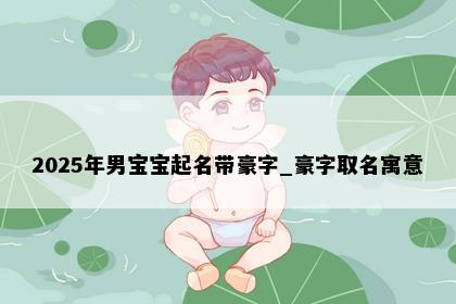 2025年男宝宝起名带豪字_豪字取名寓意