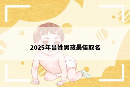 2025年昌姓男孩最佳取名