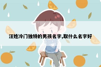 汪姓冷门独特的男孩名字,取什么名字好
