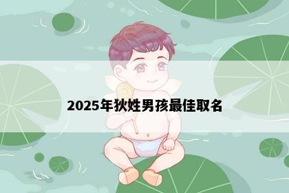 2025年狄姓男孩最佳取名