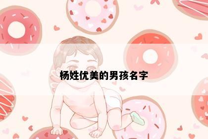 杨姓优美的男孩名字