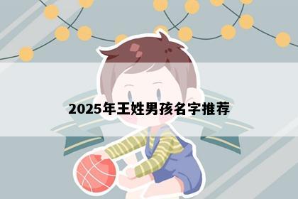 2025年王姓男孩名字推荐