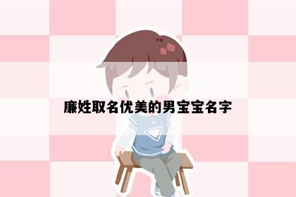 廉姓取名优美的男宝宝名字