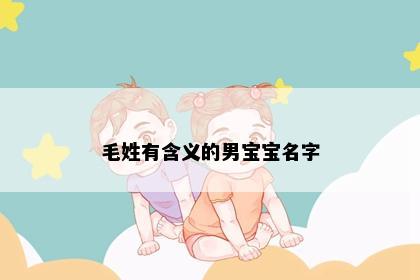 毛姓有含义的男宝宝名字