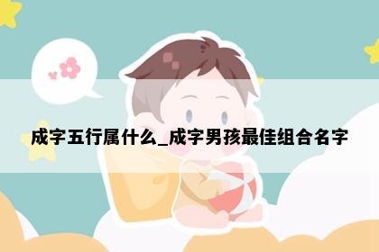 成字五行属什么_成字男孩最佳组合名字