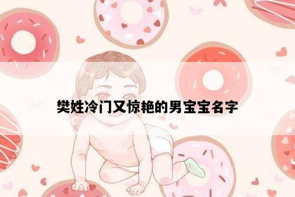 樊姓冷门又惊艳的男宝宝名字