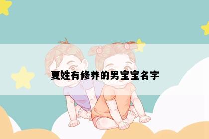 夏姓有修养的男宝宝名字
