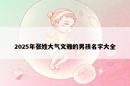 2025年张姓大气文雅的男孩名字大全