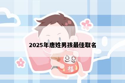 2025年唐姓男孩最佳取名