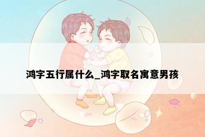鸿字五行属什么_鸿字取名寓意男孩