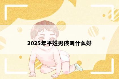 2025年平姓男孩叫什么好