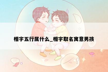 相字五行属什么_相字取名寓意男孩