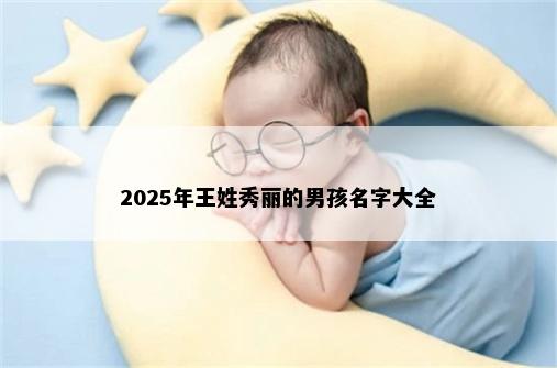 2025年王姓秀丽的男孩名字大全