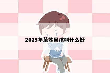 2025年范姓男孩叫什么好