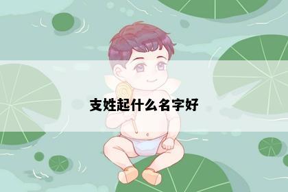 支姓起什么名字好