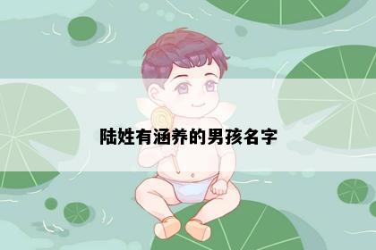 陆姓有涵养的男孩名字