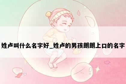 姓卢叫什么名字好_姓卢的男孩朗朗上口的名字