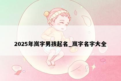 2025年岚字男孩起名_岚字名字大全