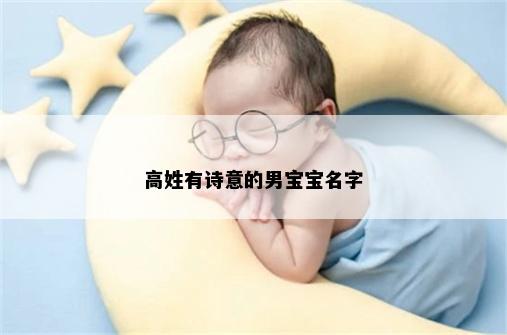高姓有诗意的男宝宝名字