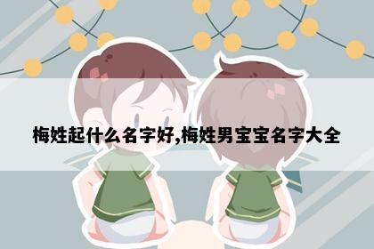 梅姓起什么名字好,梅姓男宝宝名字大全