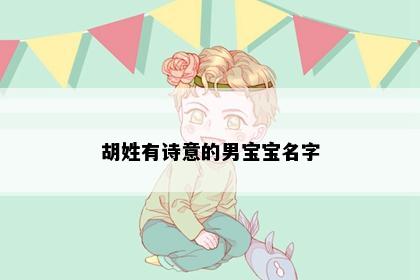 胡姓有诗意的男宝宝名字