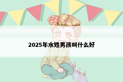 2025年水姓男孩叫什么好