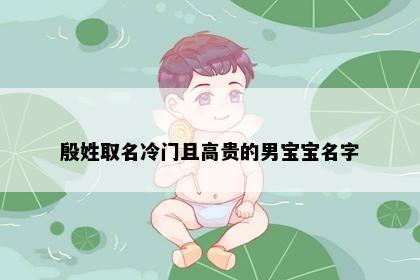 殷姓取名冷门且高贵的男宝宝名字
