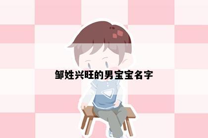 邹姓兴旺的男宝宝名字