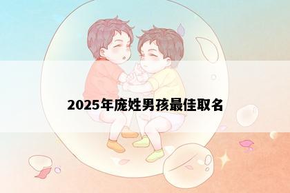 2025年庞姓男孩最佳取名