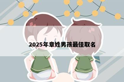 2025年章姓男孩最佳取名