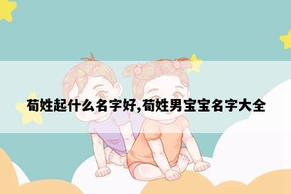 荀姓起什么名字好,荀姓男宝宝名字大全