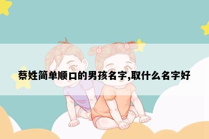 蔡姓简单顺口的男孩名字,取什么名字好